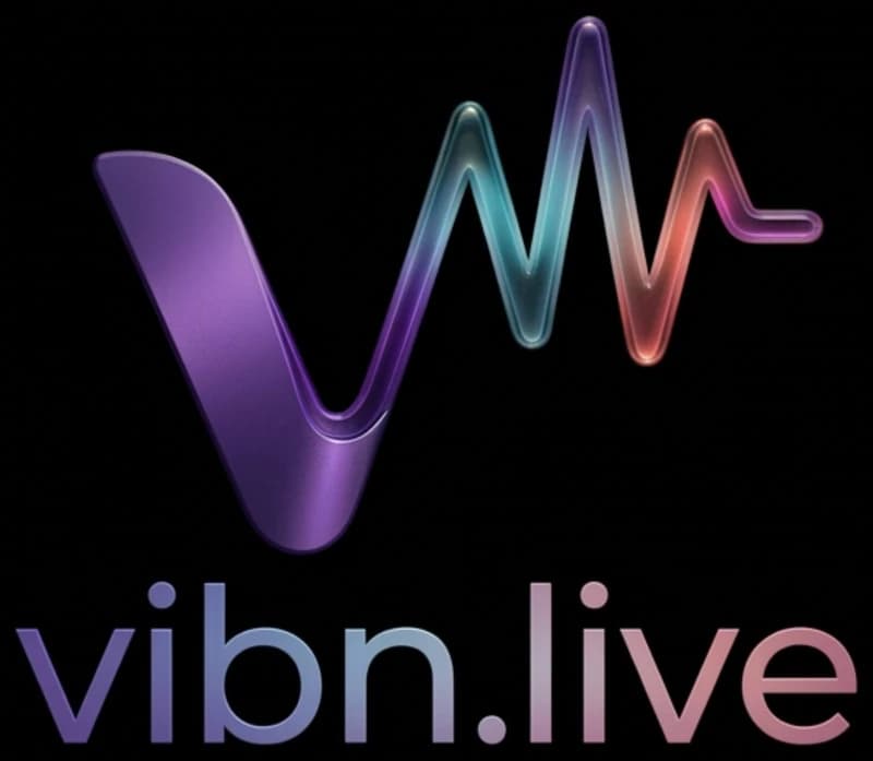 vibn.live logo artwork